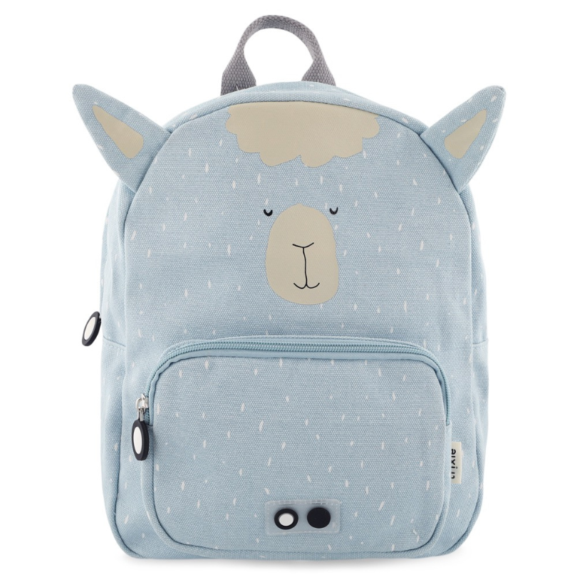 Mr. Alpaca
