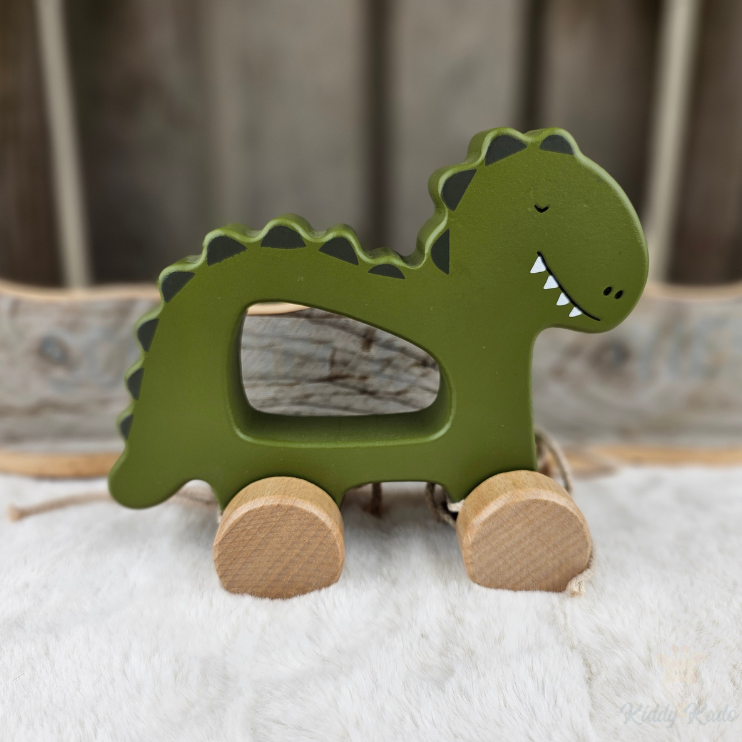Mr. Dino