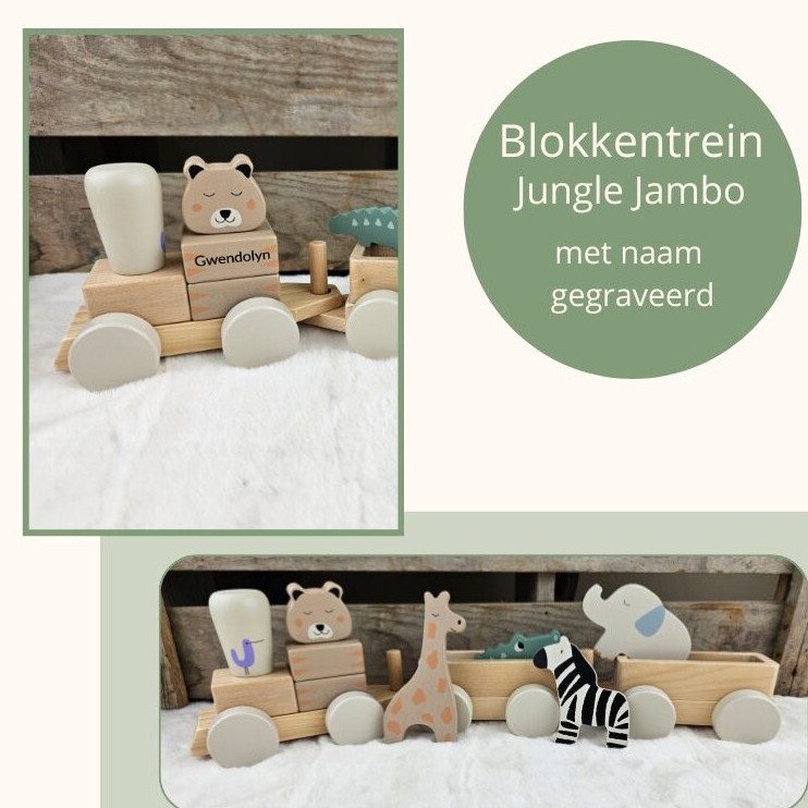 Houten speelgoedtrein Jungle Jambo - Jollein