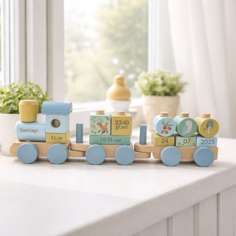 Blokkentrein Forest Friends