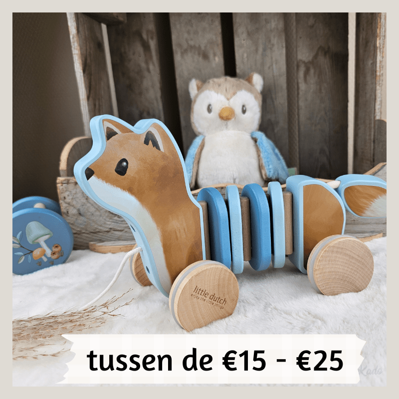 cadeautip tussen de 15 en 25 euro