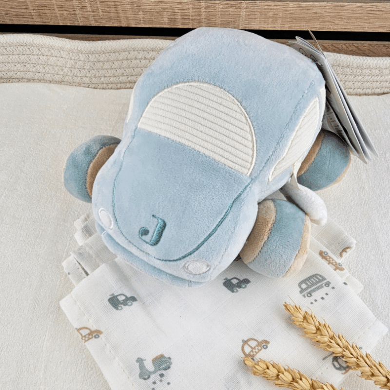 Activity Toy - On The Go