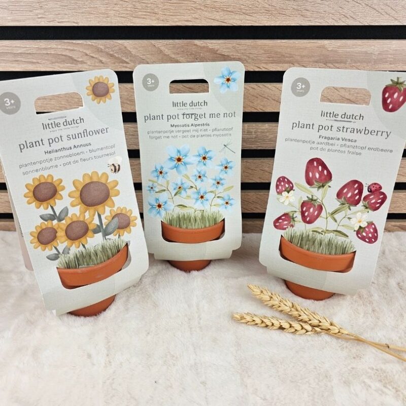 Plantenpotje Little dutch