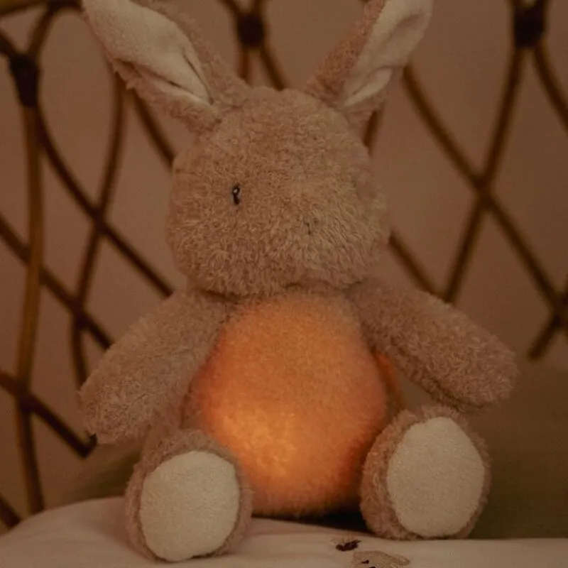 Knuffelkonijn Licht en Geluid Little Dutch